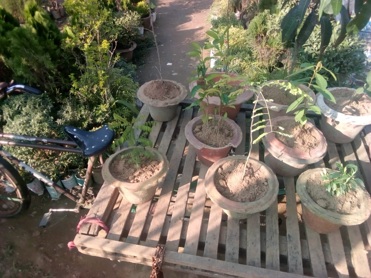 A mobile garden built by villagers in Bangladesh