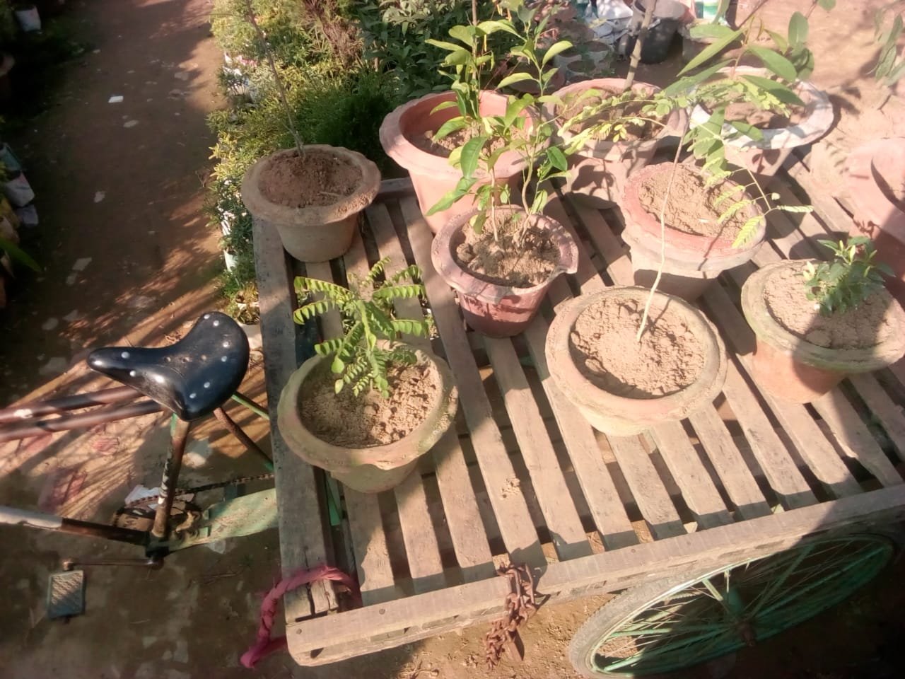 Community members with a movable growing bed