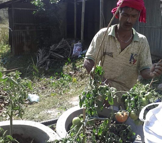 Participants working together on the mobile garden initiative